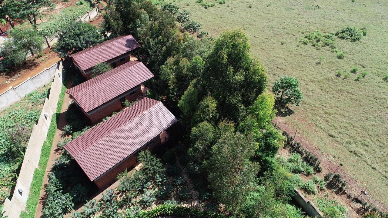 Lilac Hideaway Holiday home