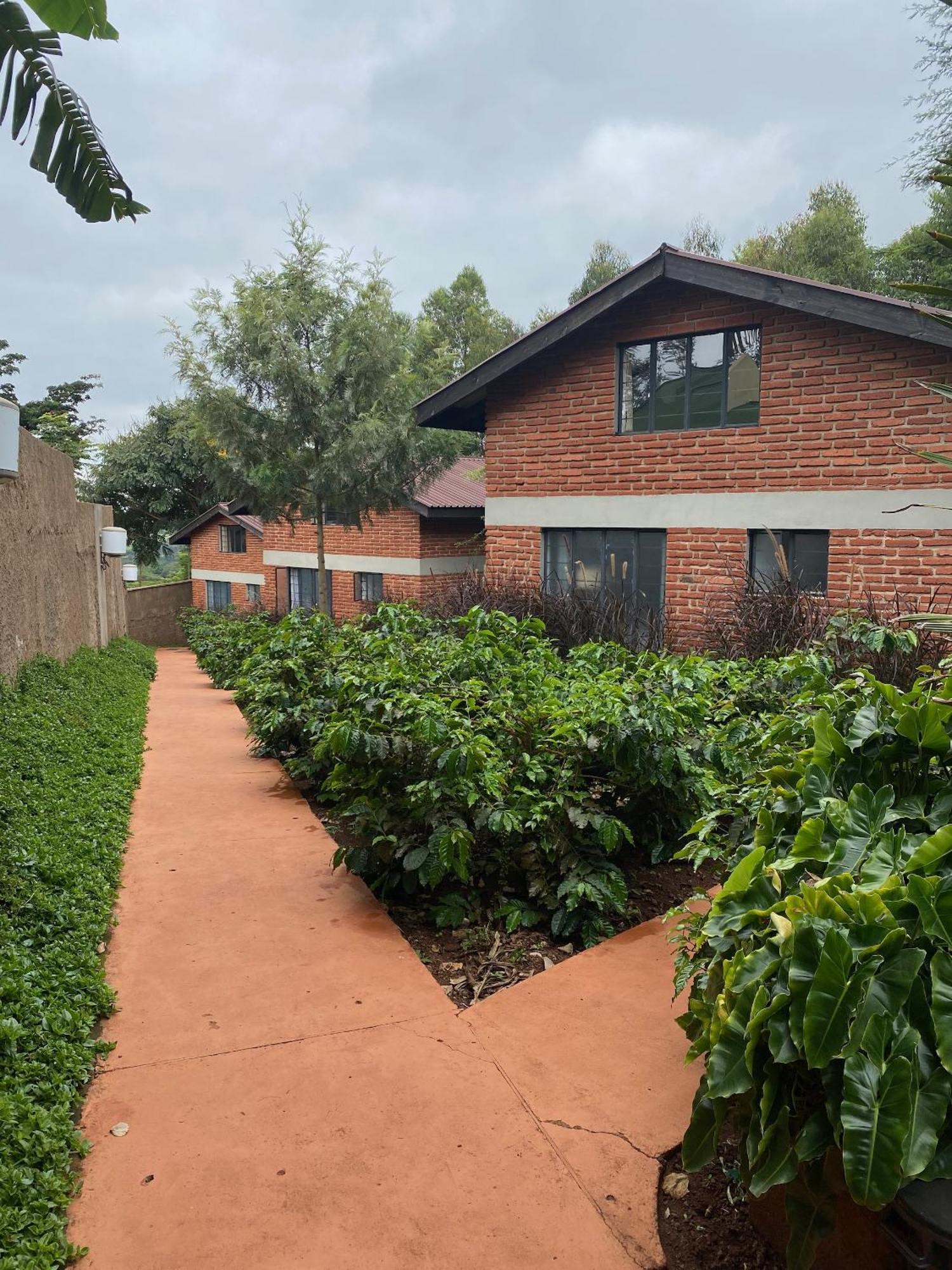 Holiday home Lilac Hideaway